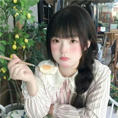 追鹰日记